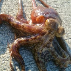 『釣りデビュー(^-^*)』205