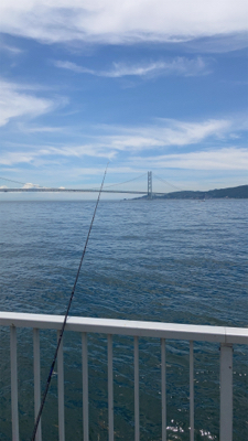 久しぶりのあの感触