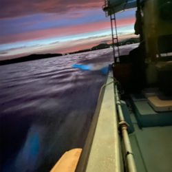 ベイトがいないので根魚釣り