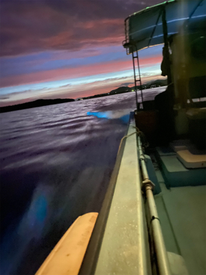 ベイトがいないので根魚釣り