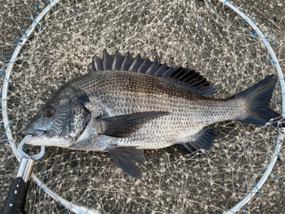 落とし込み　スライダー