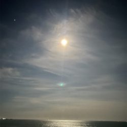 目標はブリ‼️