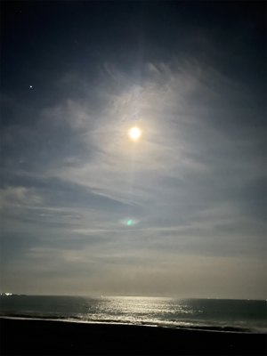 目標はブリ‼️