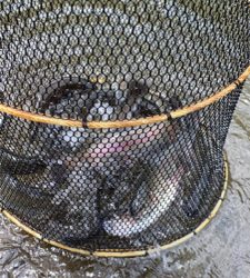 黒保根渓流フィッシング