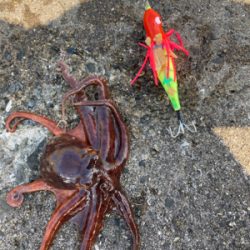 ⭐︎試行錯誤しながら