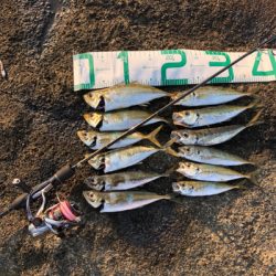 2021 佐渡ヶ島ライトゲーム