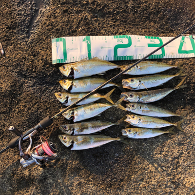 2021 佐渡ヶ島ライトゲーム