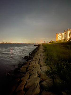 淀川ブリームゲーム