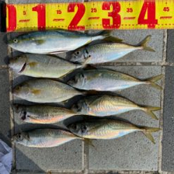 今日もマリーナシティは高活性