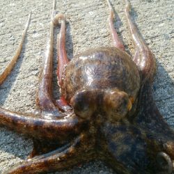 『釣りデビュー(^.^)』207