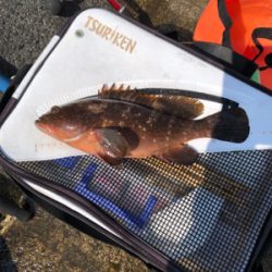 久々の探り釣りに行きました。