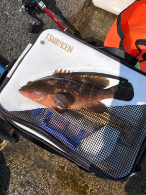 久々の探り釣りに行きました。