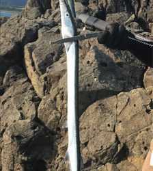 ショアジギング