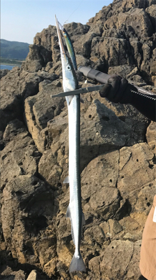 ショアジギング