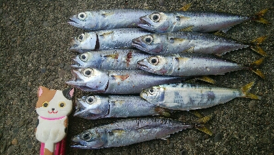 『釣りデビュー(*^-^*)』208