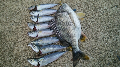 『釣りデビュー(^.^)』209