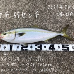 ハマチ 57cm