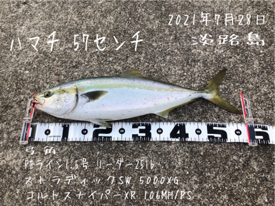 ハマチ 57cm
