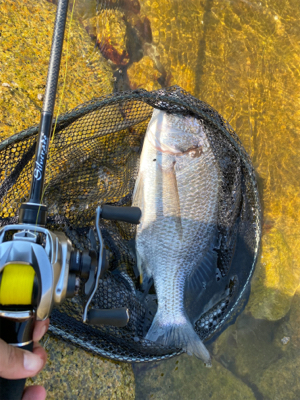 シルベラードとジリオン入魂