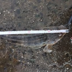 天気予報に騙されたけど、、、