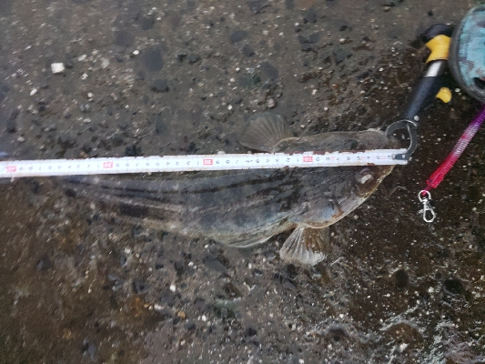 天気予報に騙されたけど、、、
