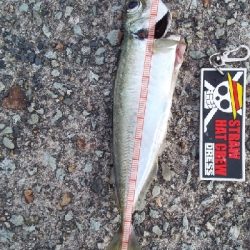 時合が短い。。。