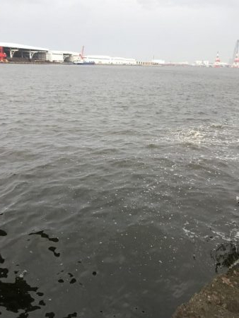 雨前のタコ釣り