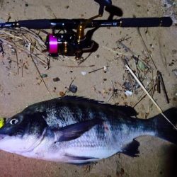 太っちょなマチヌ