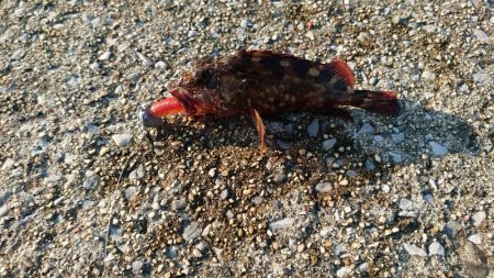 カッサーの無限ループ