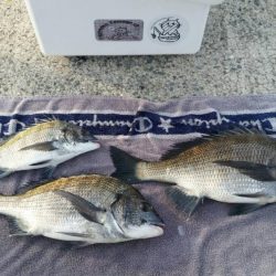 紀州釣りに挑戦!!