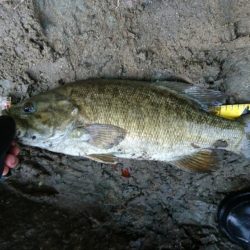 夕方短時間で40UP！