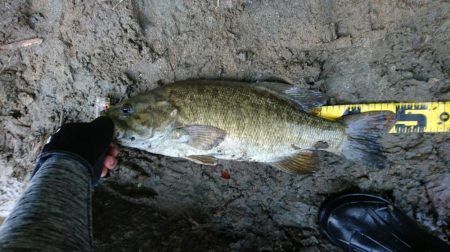 夕方短時間で40UP！