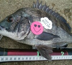 『釣りデビュー(^^)』祝200日目