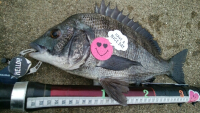 『釣りデビュー(^^)』祝200日目