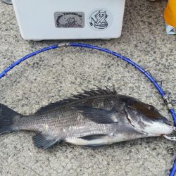 紀州釣りに挑戦!!