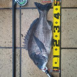 今年初 年無し ~さざなみ公園~