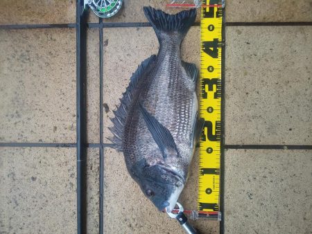 今年初　年無し　～さざなみ公園～