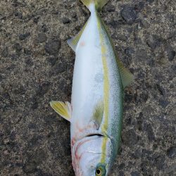 久々の釣行！フラッシュブースト！！