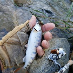 荒れ過ぎた様です( ノД`)…