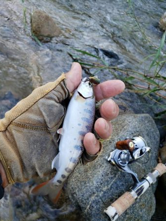 荒れ過ぎた様です( ノД`)…