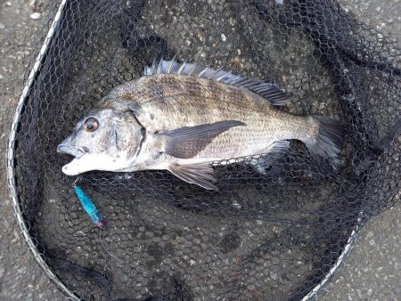 朝のトップで連続ヒット