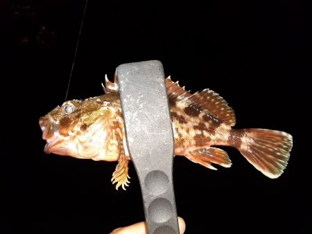 ライトゲーム39