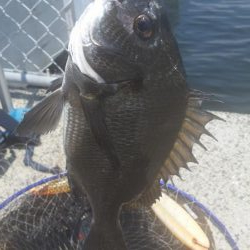 紀州釣りに挑戦！！