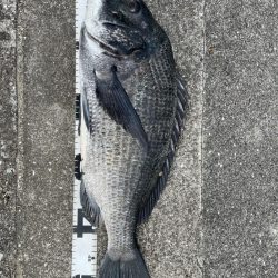 イチノ兄弟、釣果！