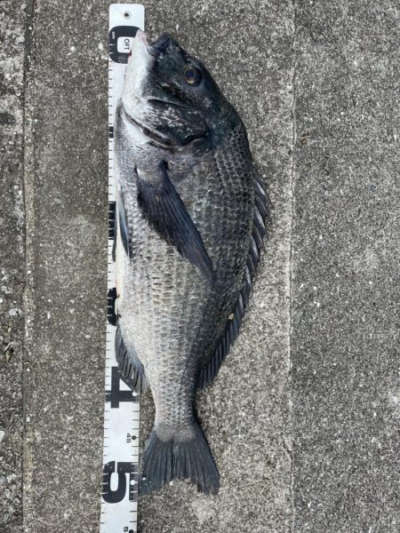 イチノ兄弟、釣果！