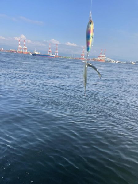 青物と蛸狙いでの釣行