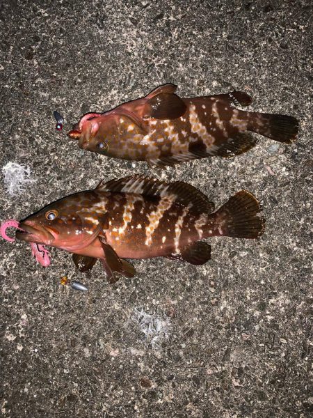 良い時期になってきた