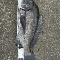 イチノ兄弟、釣果!