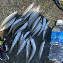 暑さにも負けず