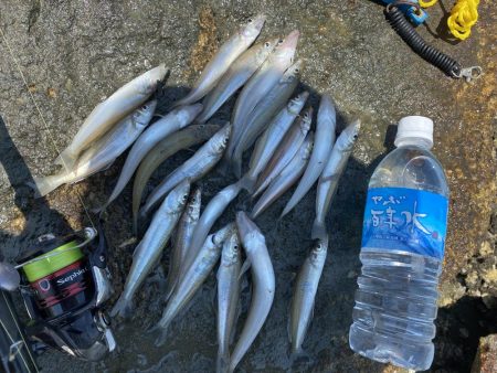 暑さにも負けず